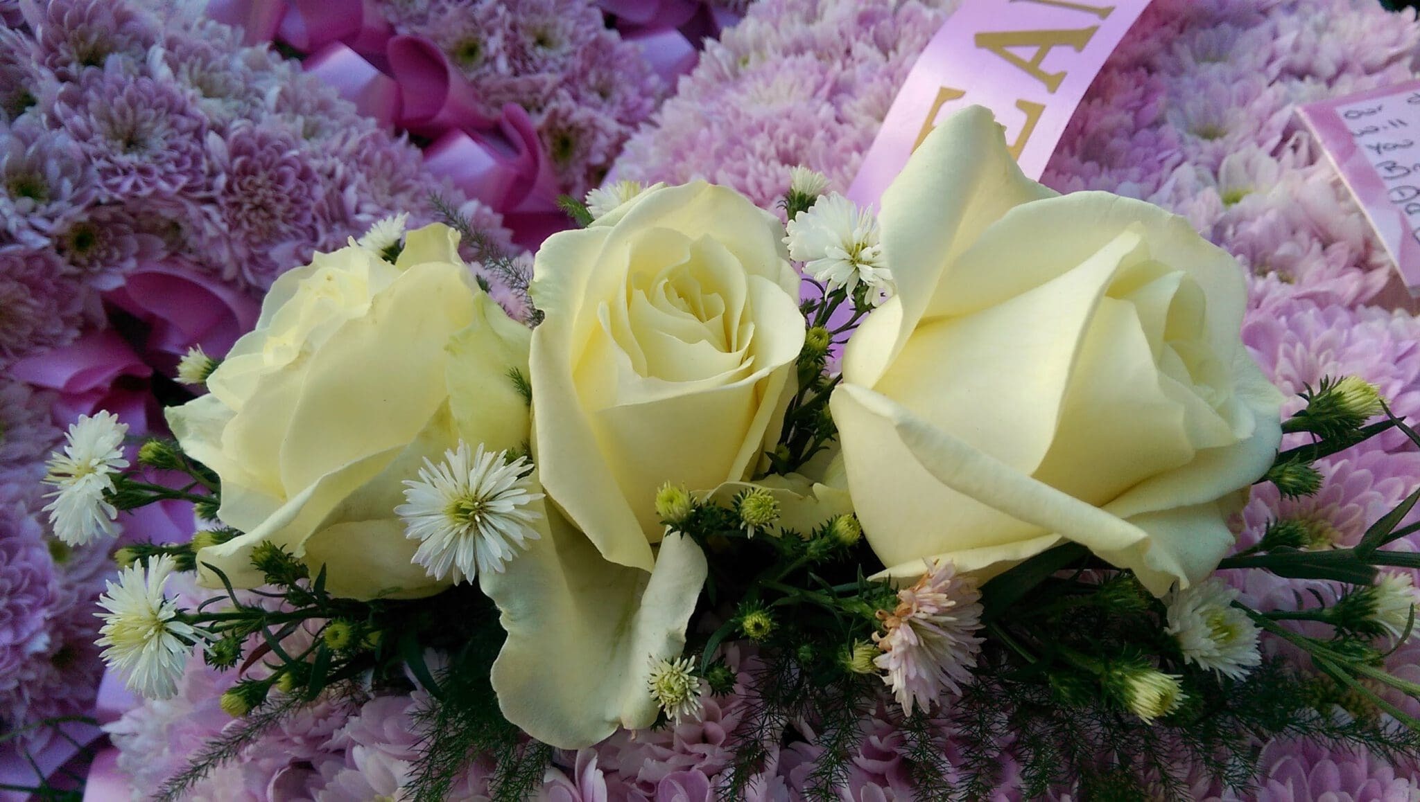 Three pale yellow roses and white daisies arranged with greenery, resting on a bed of pink flowers. A pink ribbon and handwritten note are partially visible in the background.