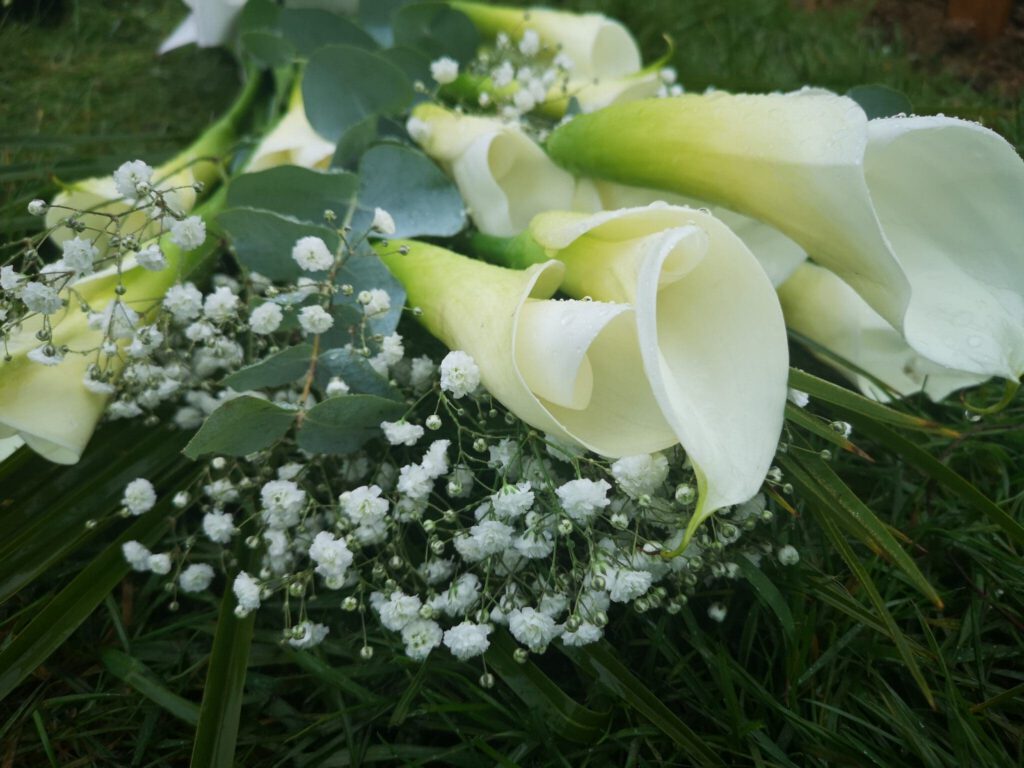 A close-up of a bouquet with white calla lilies, baby's breath flowers, and green leaves resting on grass. The flowers have droplets of water on their petals.