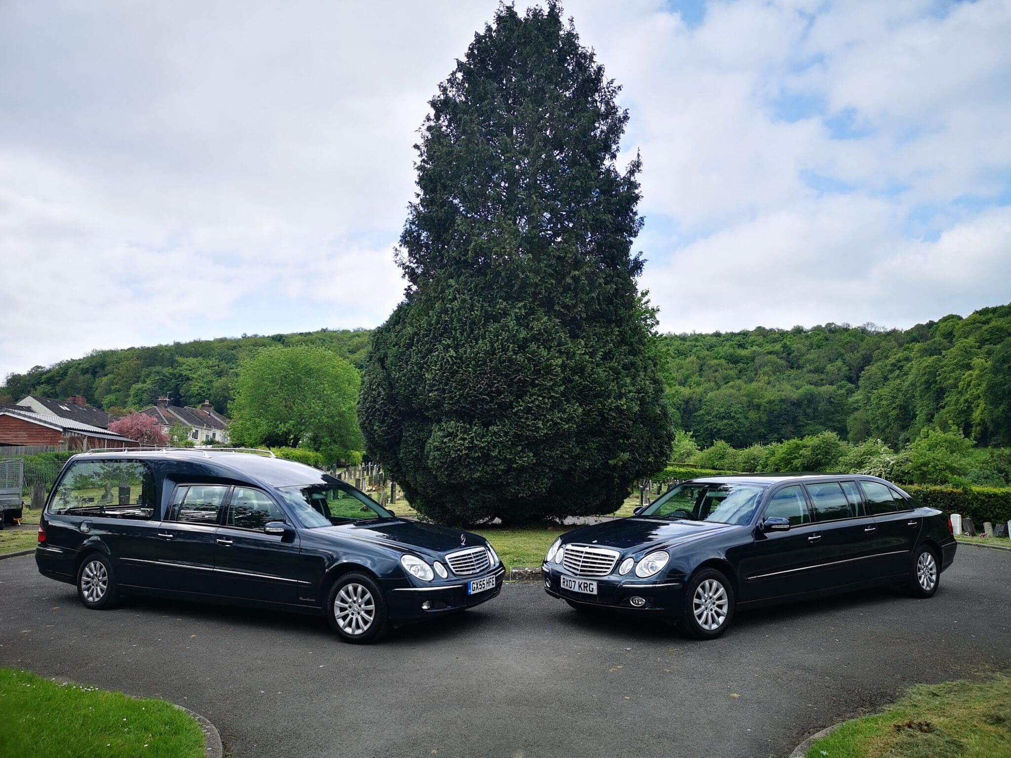 Two black funeral limousines are parked on a paved area in front of a large, cone-shaped tree, with a green, wooded landscape in the background under a partly cloudy sky.